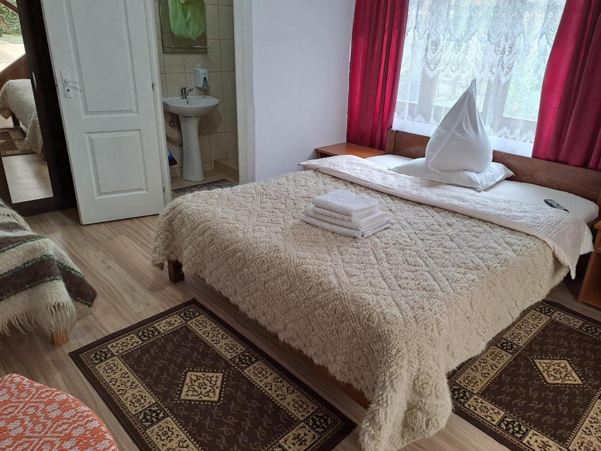 Pensiunea Rednic Lenuta Giulesti Buitenkant foto